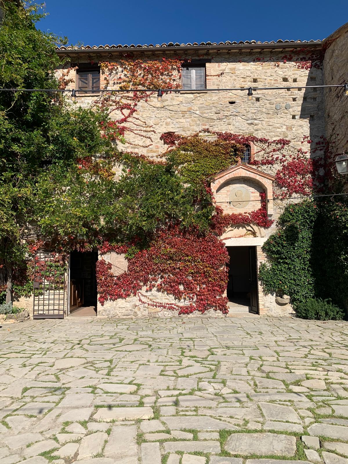 Petrata